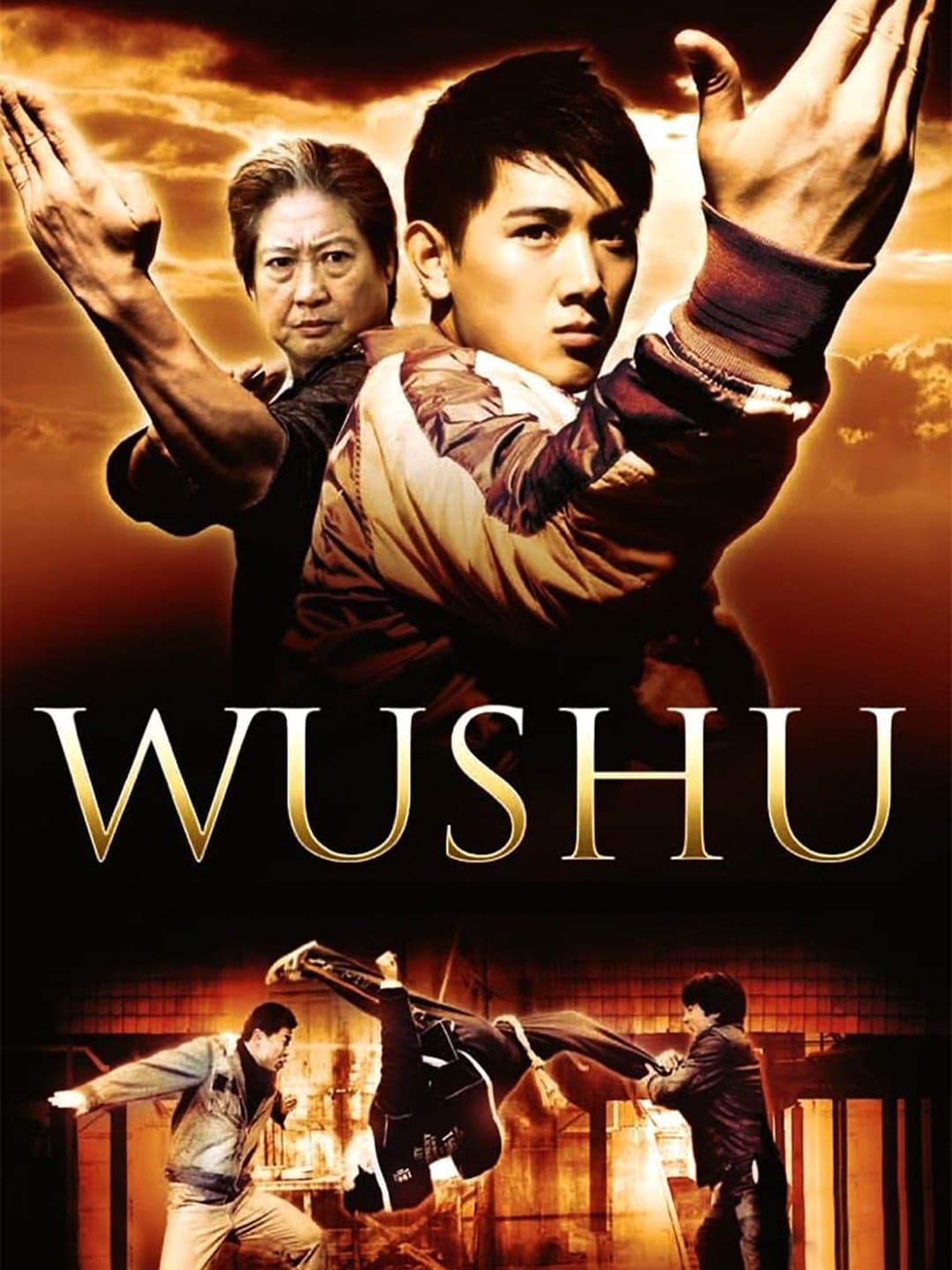 Wushu (2008)